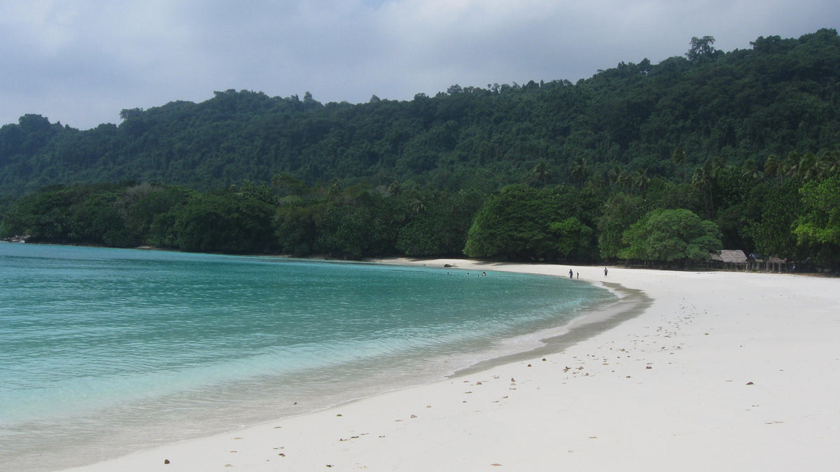 A white sand beach and forested hillside on Espiritu Santo, Vanuatu